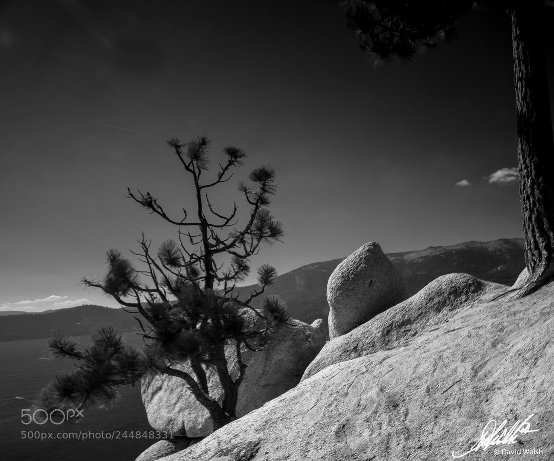 Nikon D4S sample photo. Lake tahoe photography