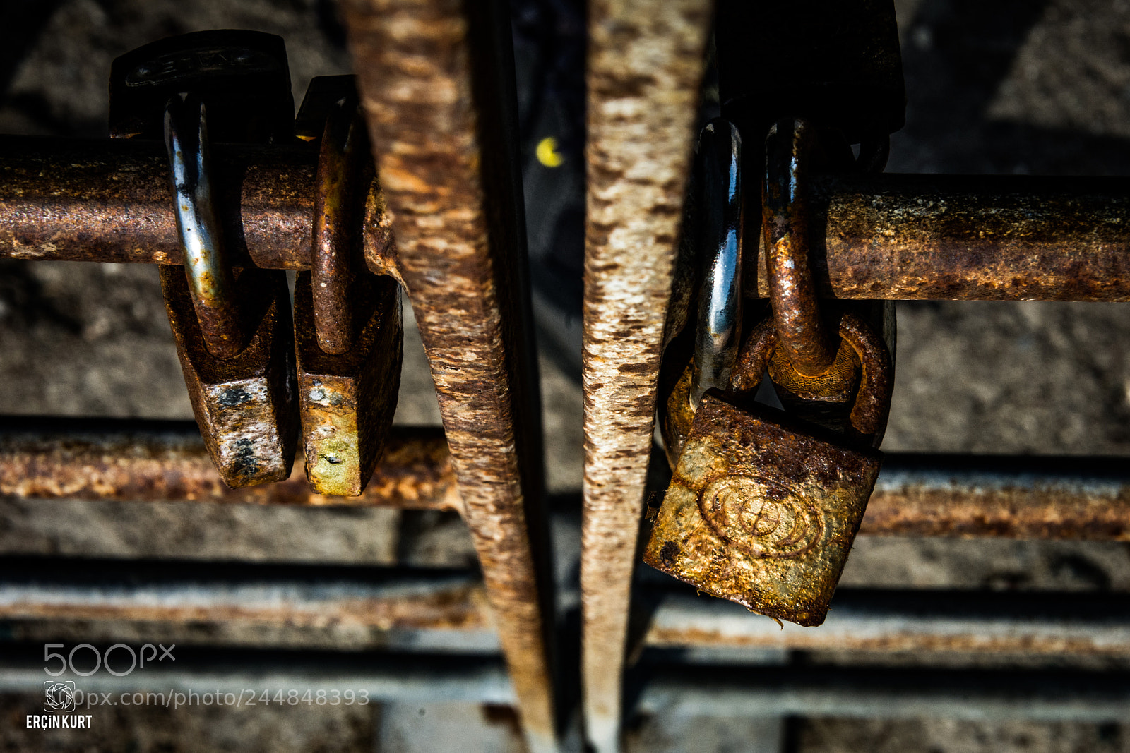 Nikon D7100 sample photo. Unchain my heart :p photography