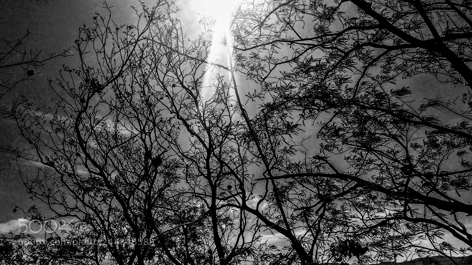 Motorola Moto G Play sample photo. Untitled photography