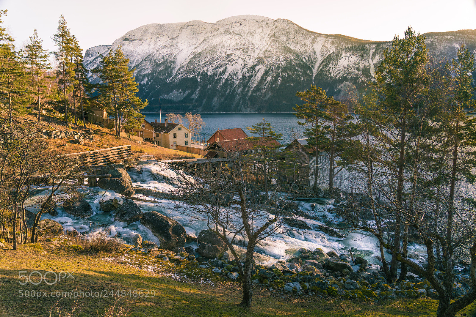 Sony a7R III sample photo. Spring photography