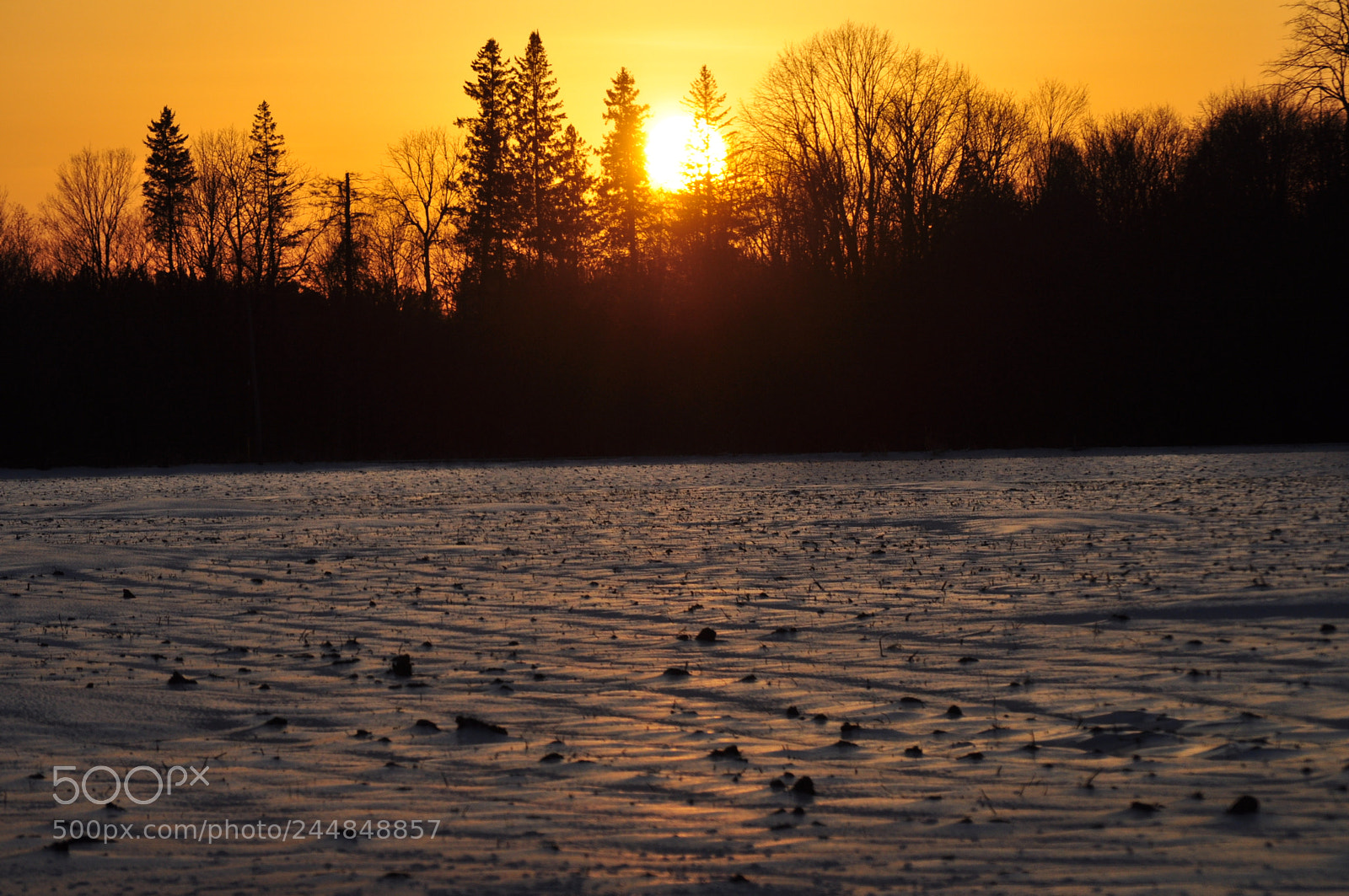 Nikon D5000 sample photo. Tundra sunset photography