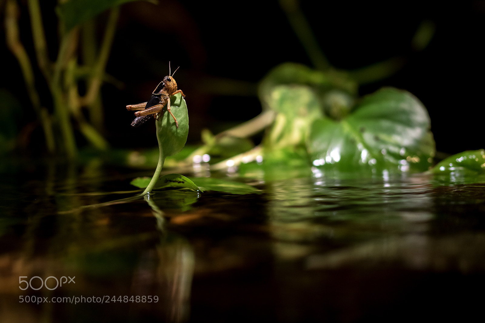 Canon EOS 7D Mark II sample photo. Untitled photography
