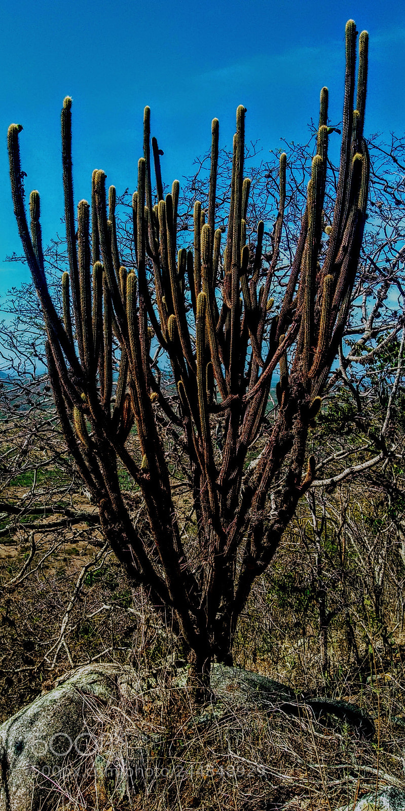 Motorola Moto G Play sample photo. Untitled photography