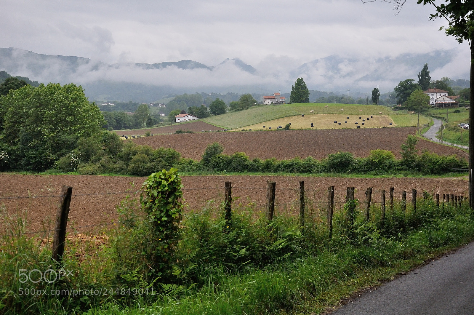 Nikon D90 sample photo. Pays basque photography