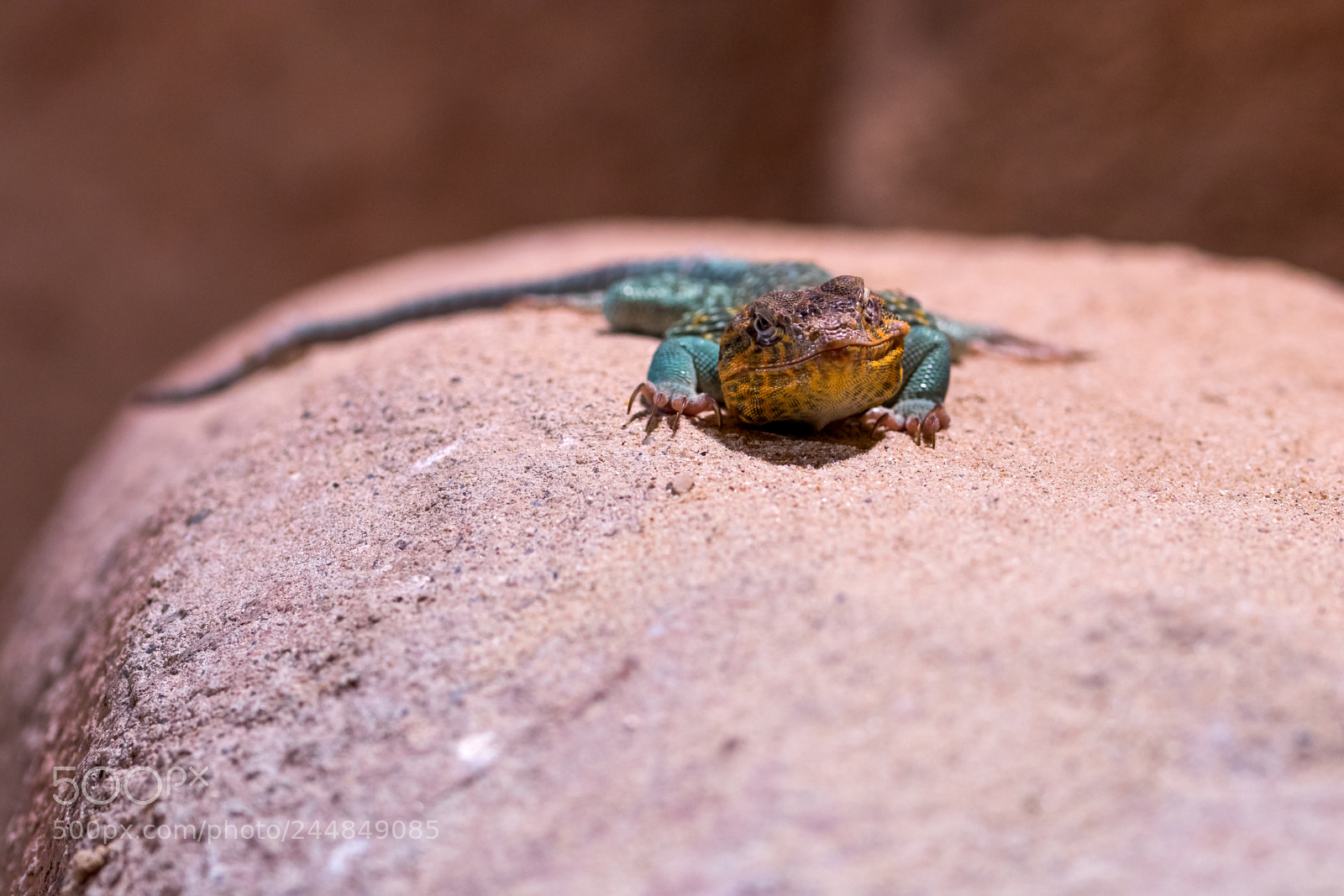 Canon EOS 7D Mark II sample photo. Untitled photography