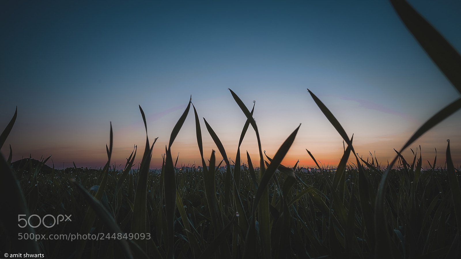 Sony a6300 sample photo. Sunset photography