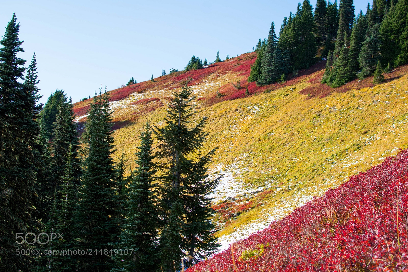 Nikon D7100 sample photo. Fall delight photography
