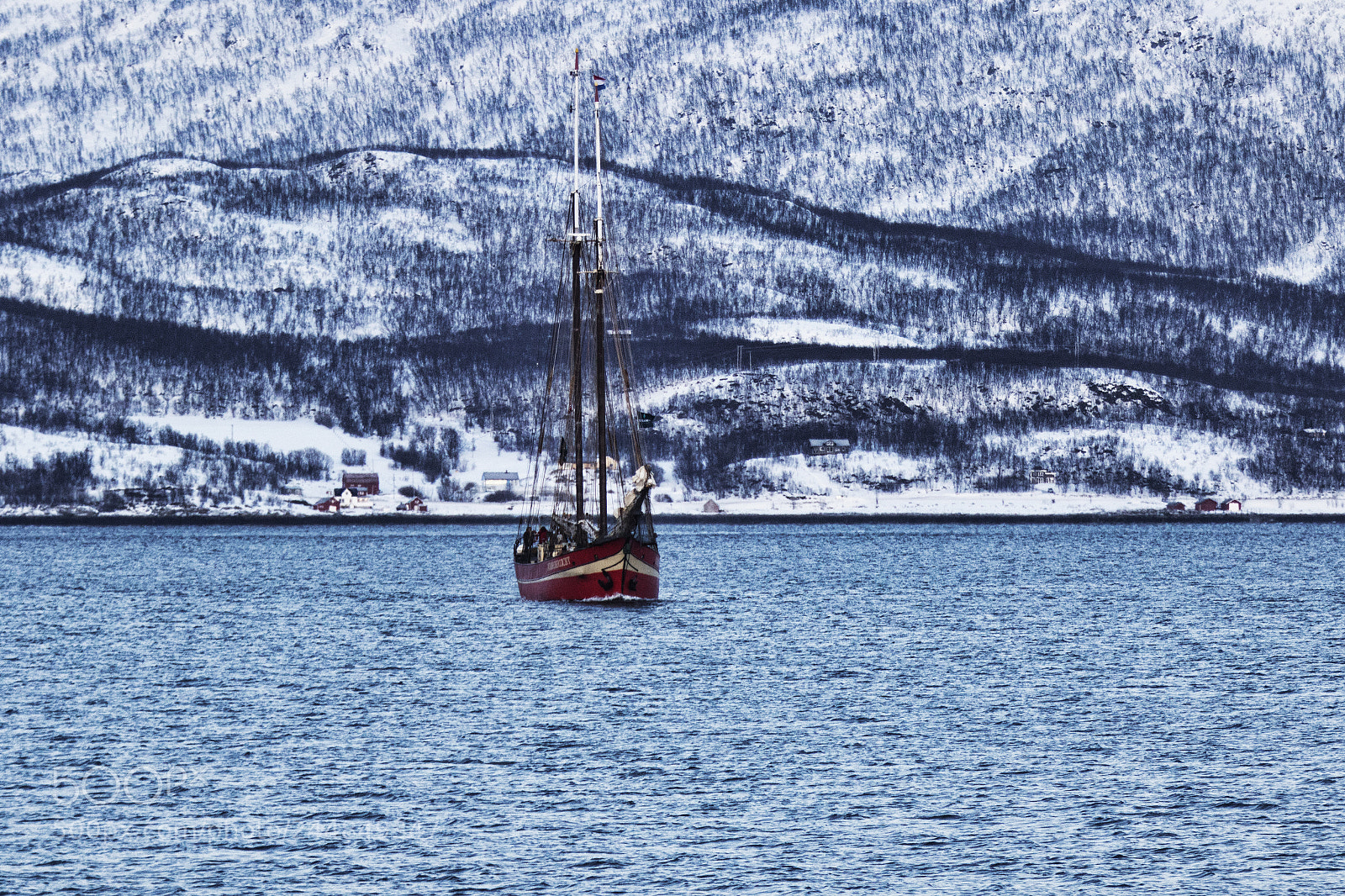 Canon EOS 7D Mark II sample photo. Schiff photography