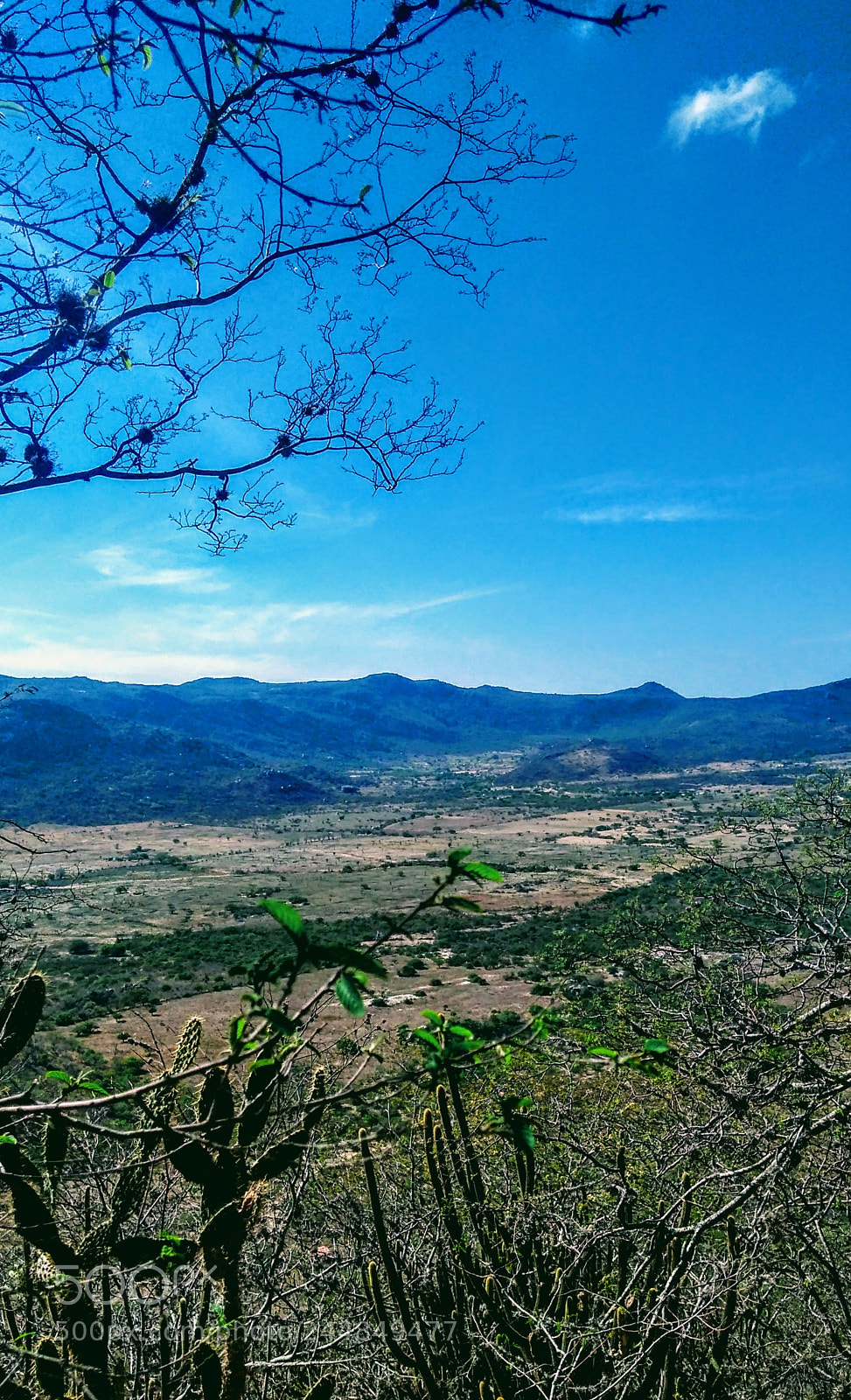 Motorola Moto G Play sample photo. Untitled photography