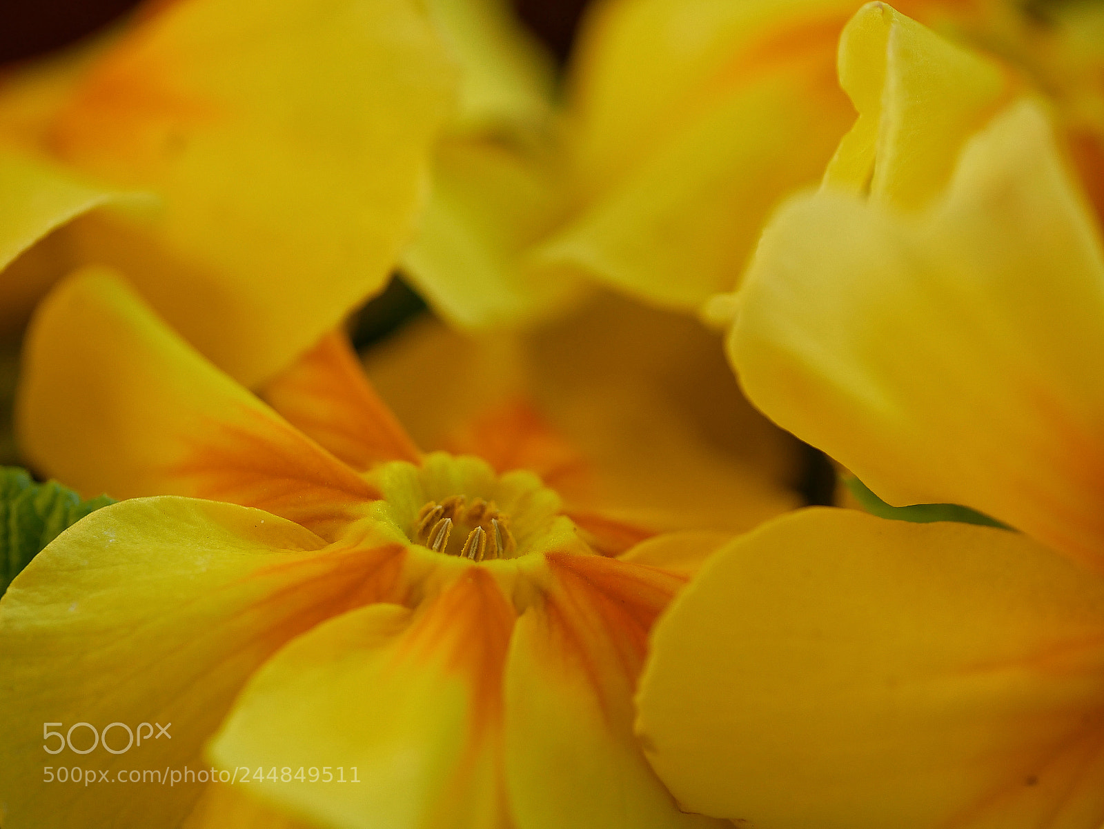 Panasonic Lumix DMC-GX85 (Lumix DMC-GX80 / Lumix DMC-GX7 Mark II) sample photo. ?y?... photography