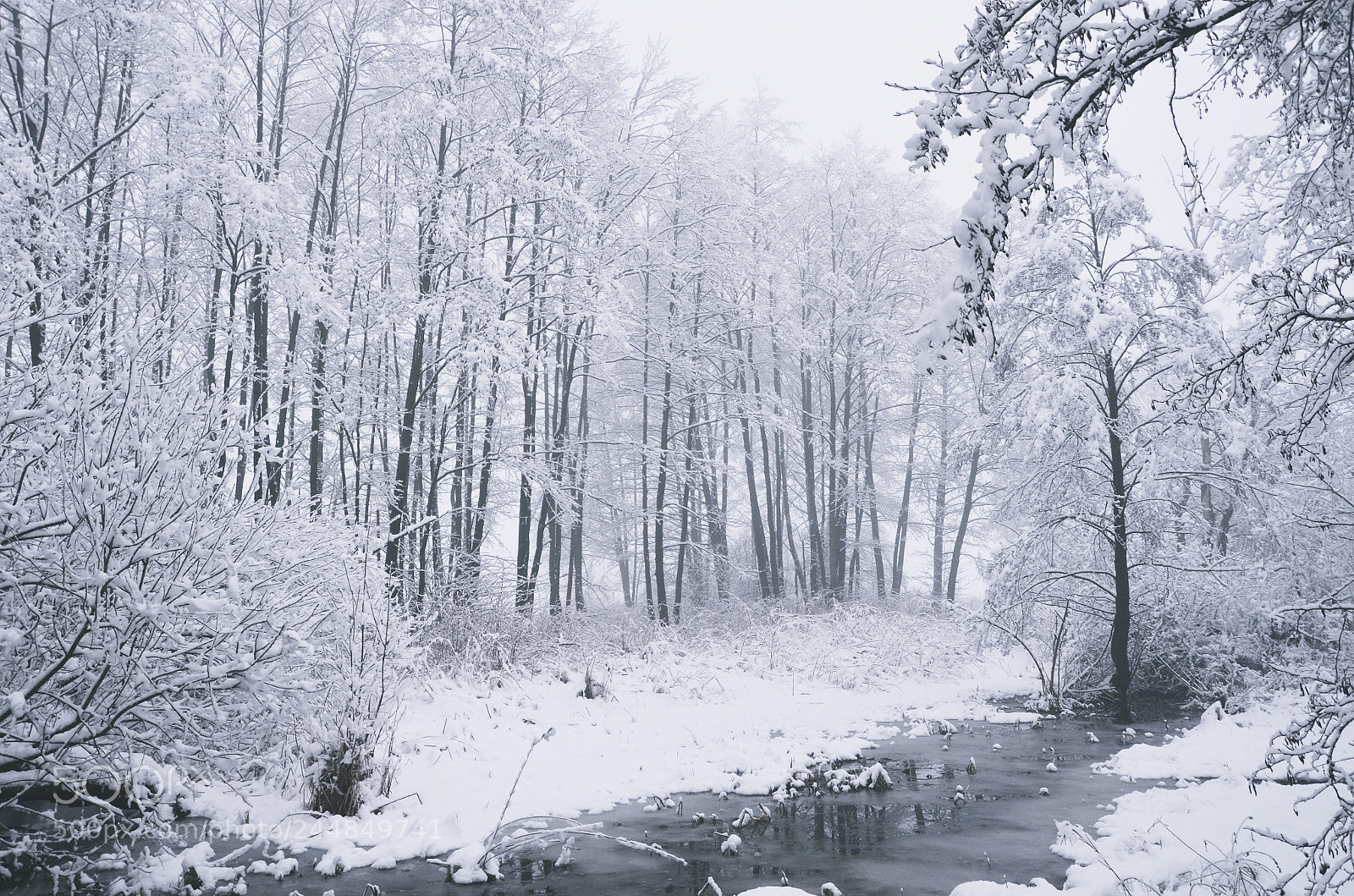 Nikon D5100 sample photo. 37. winter photography