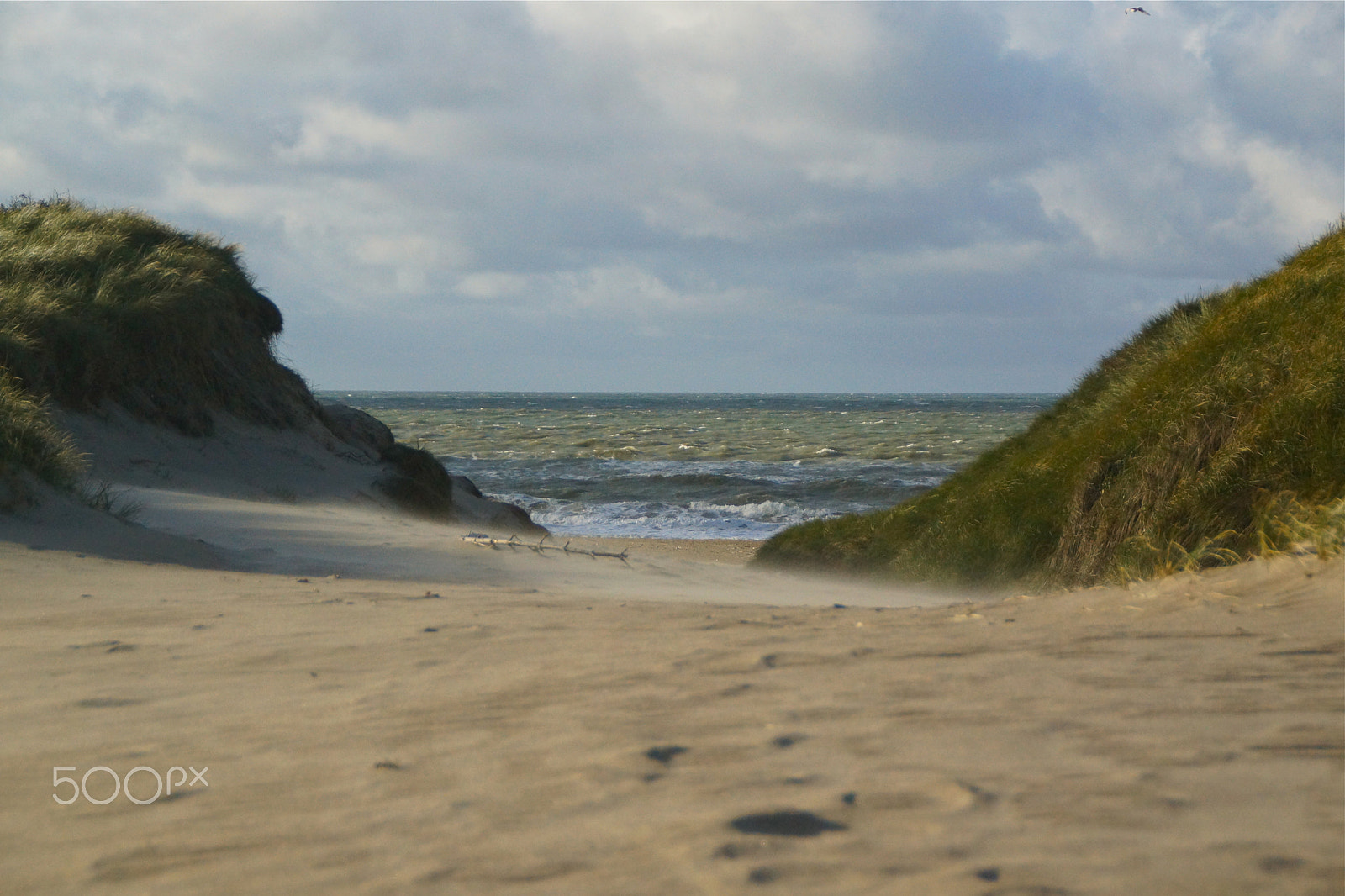 Sony SLT-A65 (SLT-A65V) sample photo. Denmark, nationalpark thy v photography