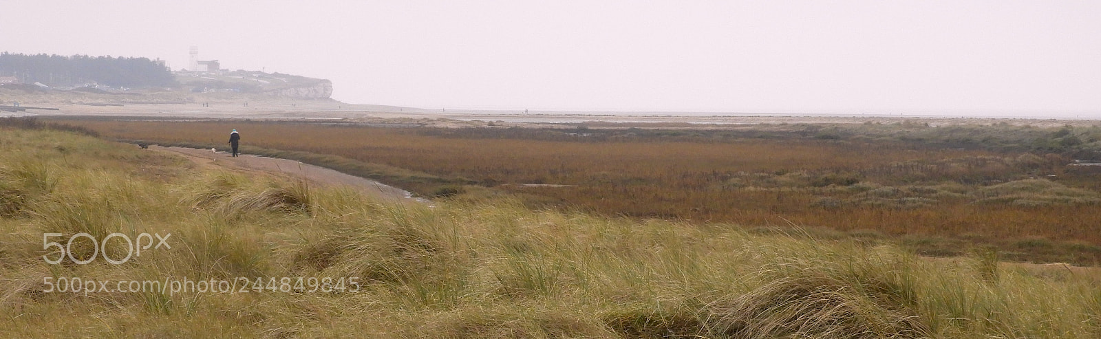 Nikon Coolpix B700 sample photo. Bleak shore in winter photography