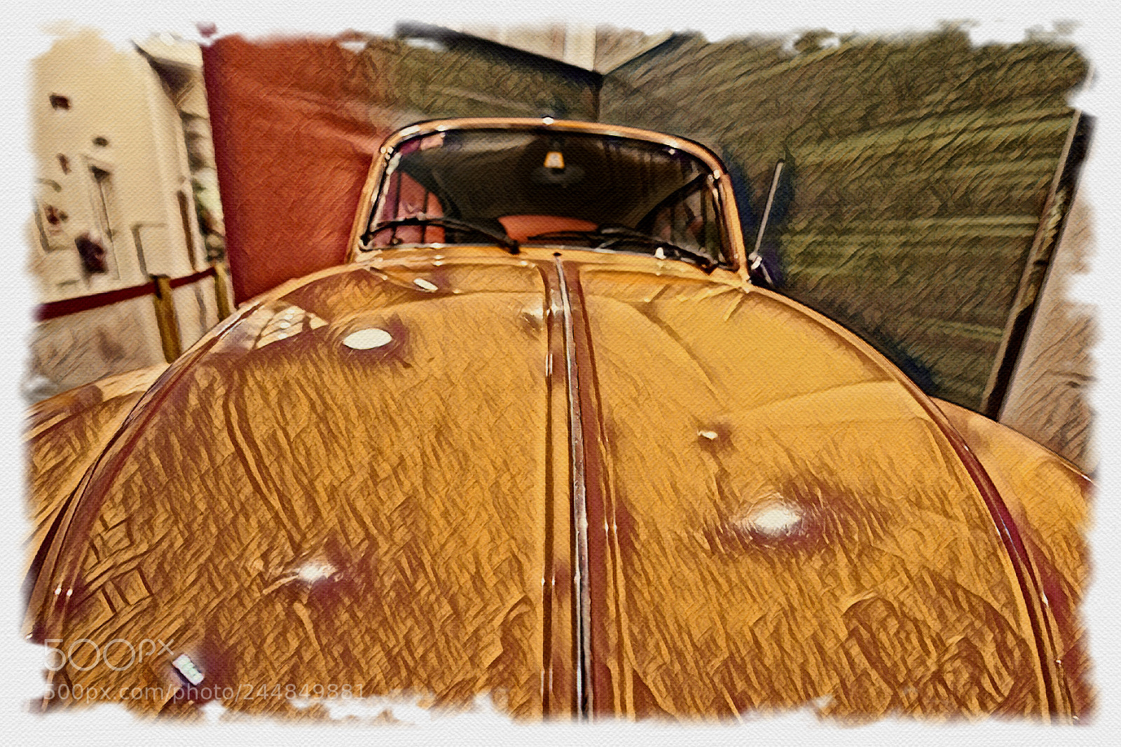 Nikon D850 sample photo. The beatle photography