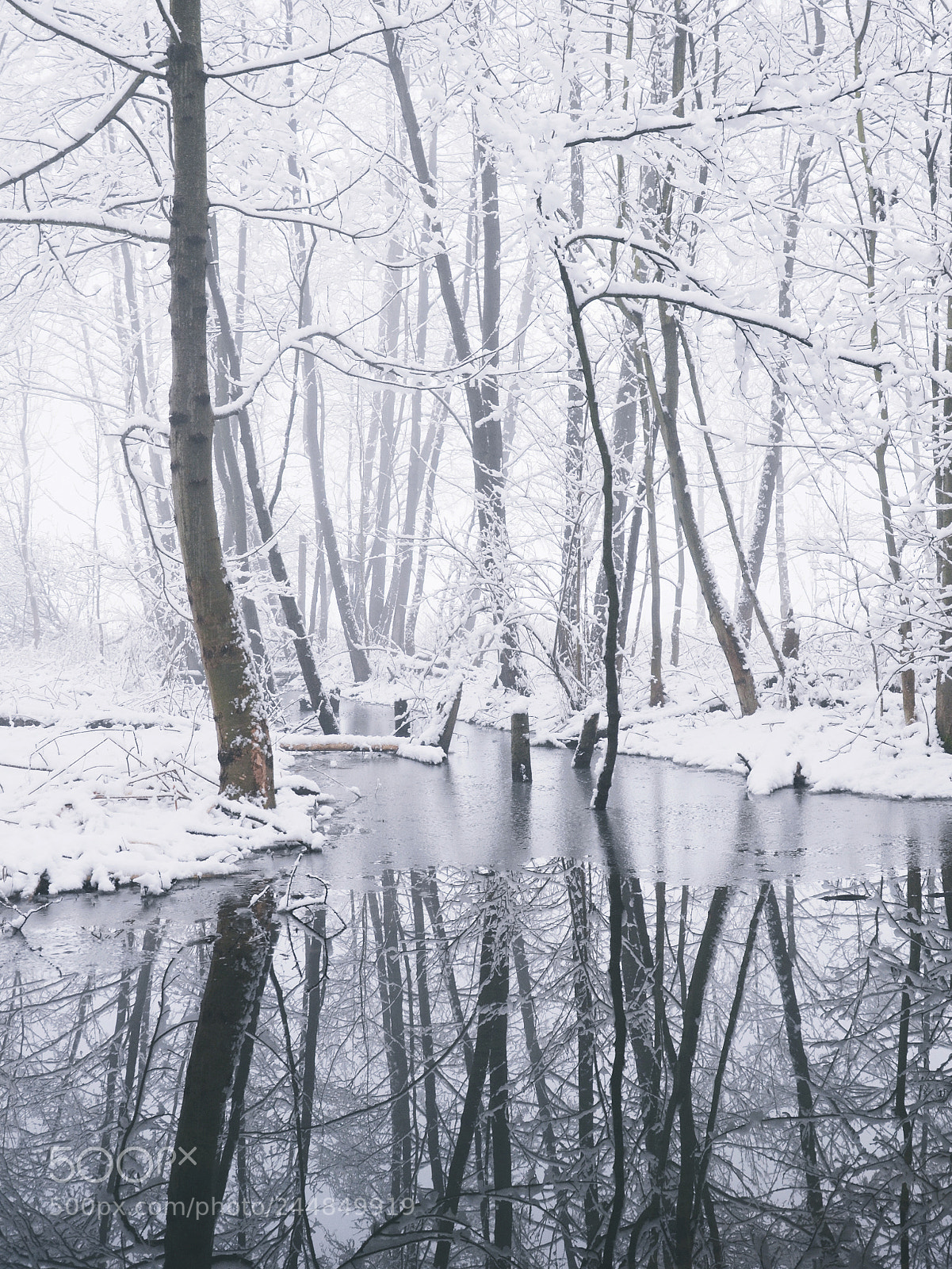 Nikon D5100 sample photo. 38. winter photography