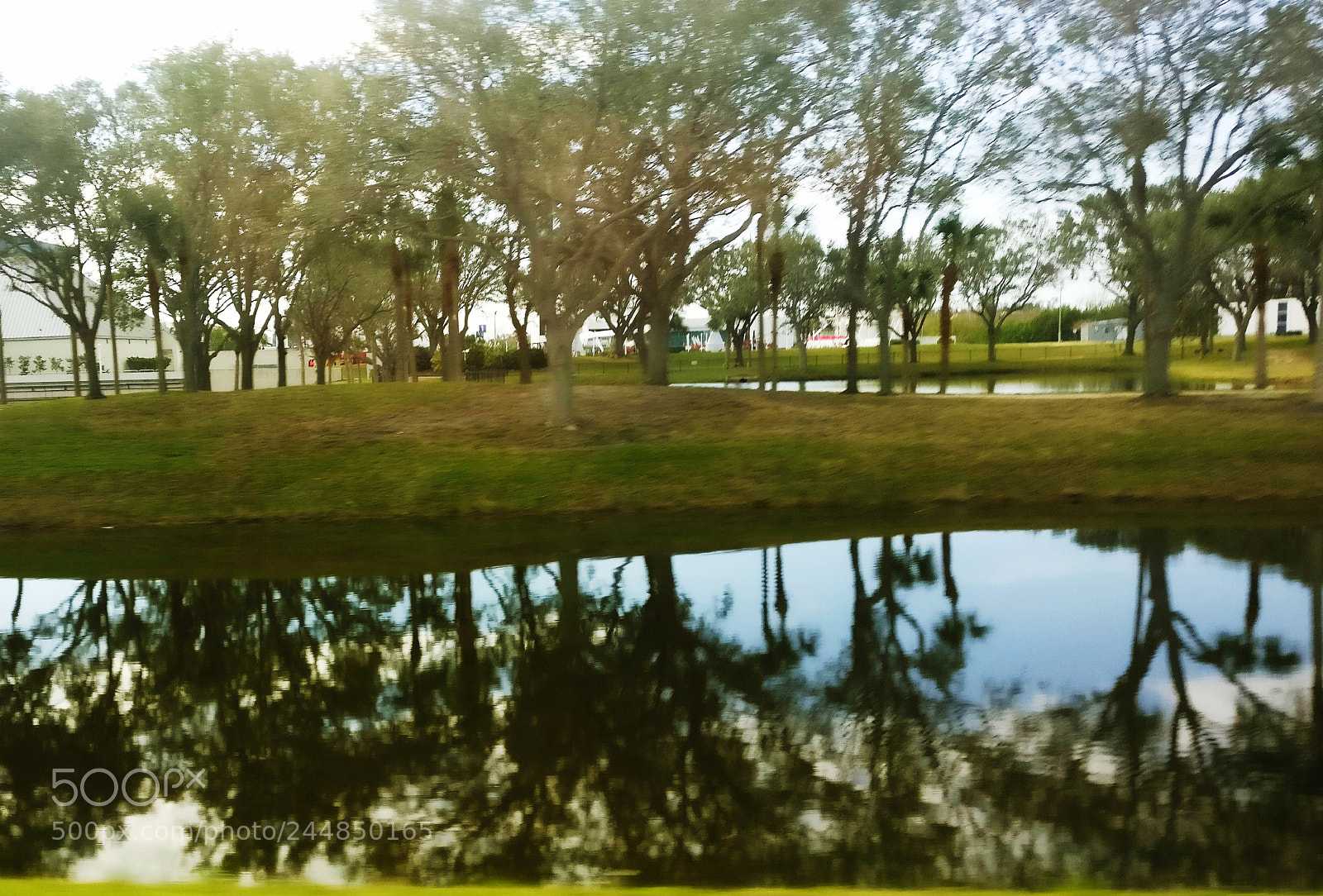 OnePlus A3003 sample photo. Trees photography