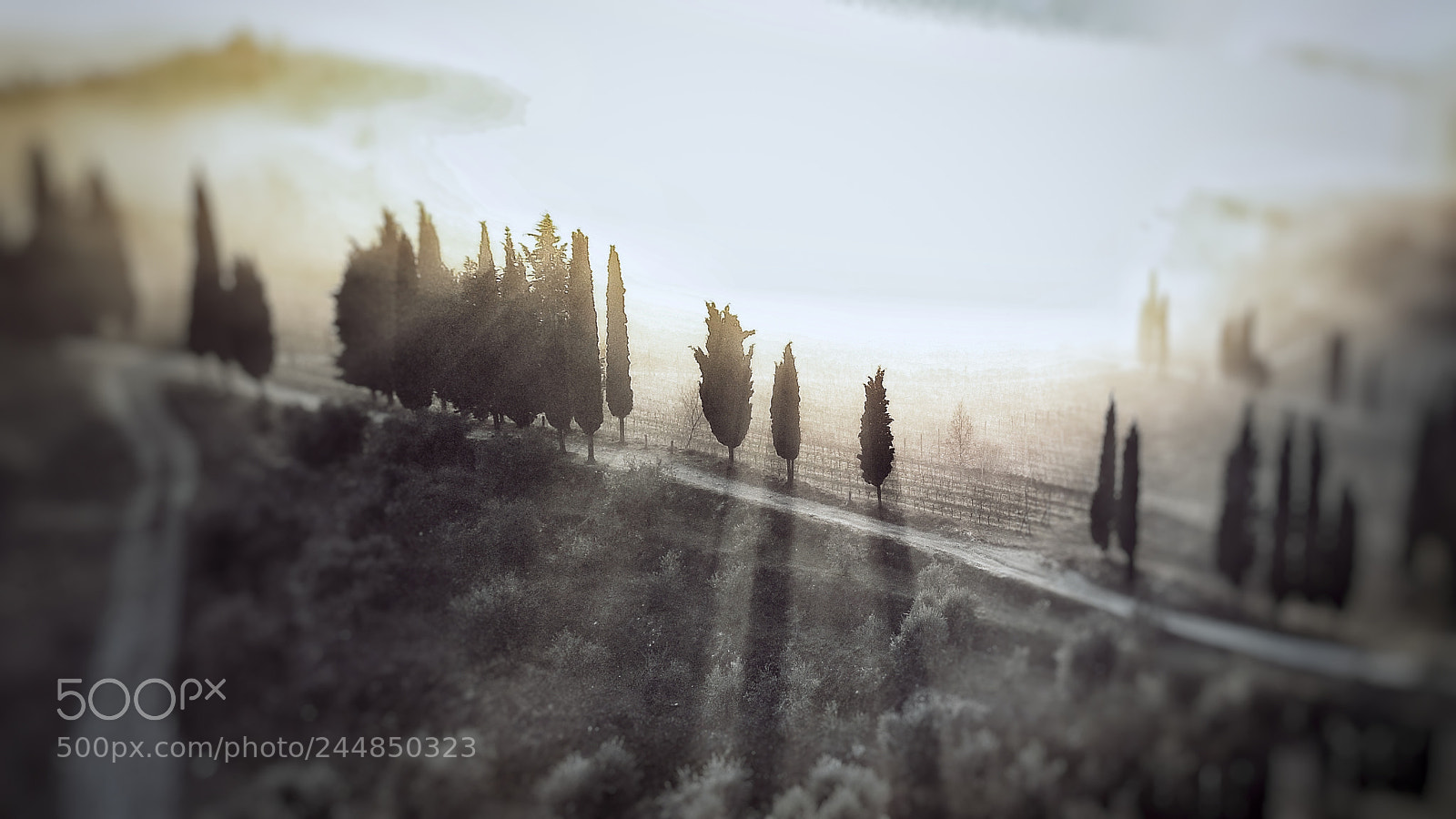 DJI FC220 sample photo. Untitled photography