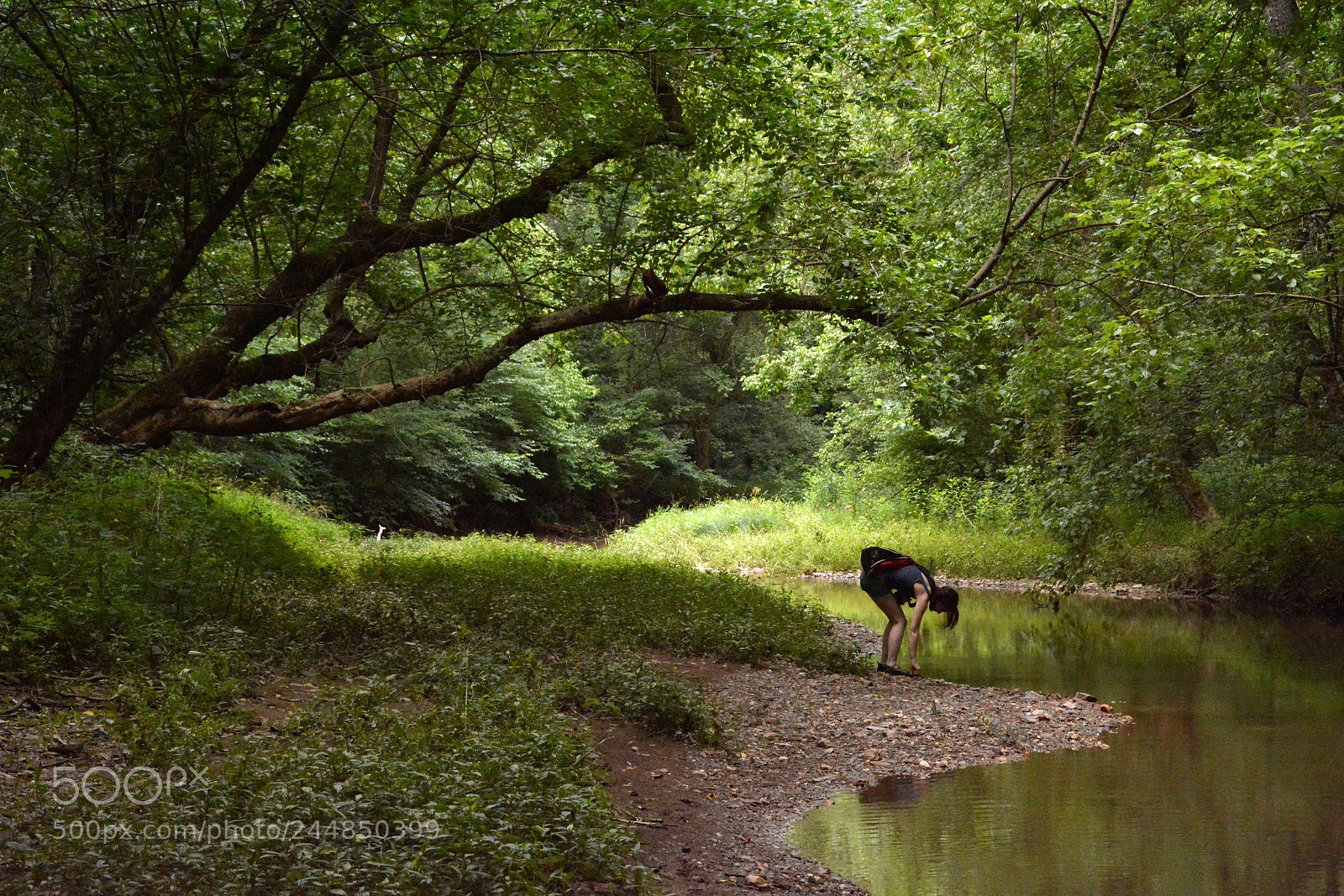 Nikon D7100 sample photo. Ben's branch with madi photography