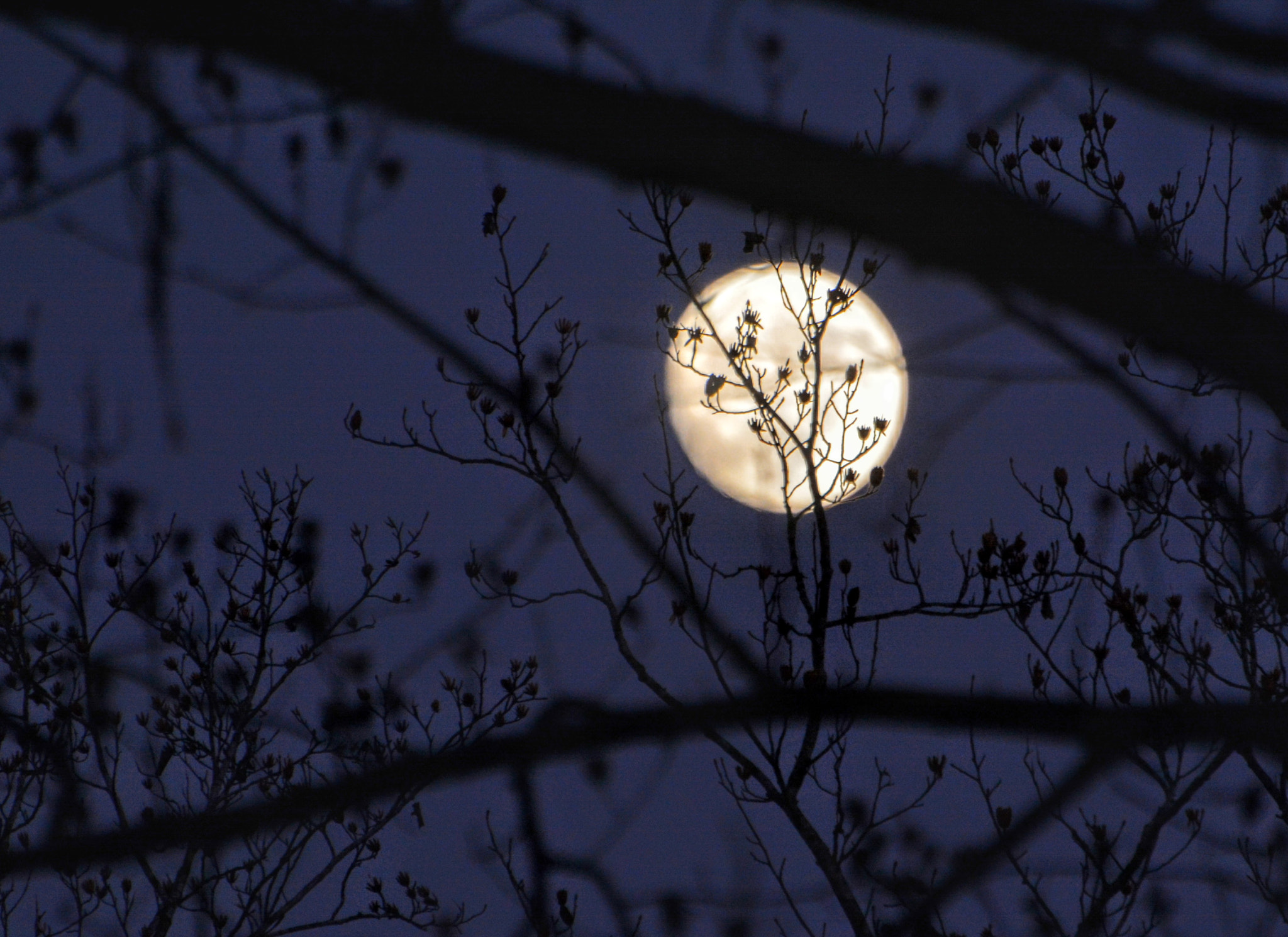 Nikon D7100 sample photo. Waxing moon dec st () photography
