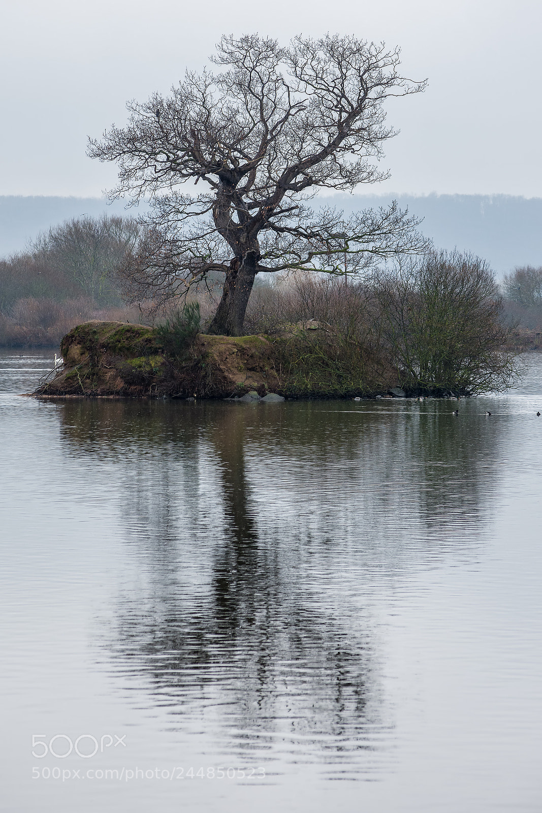 Nikon D7200 sample photo. An island on a photography