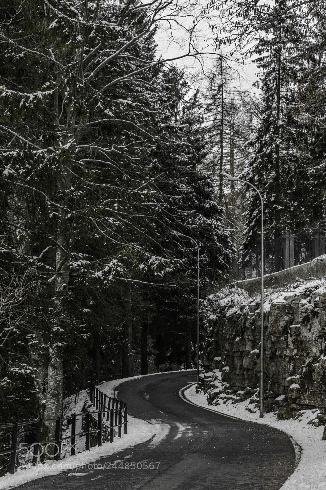 Nikon D3200 sample photo. On the winter road photography