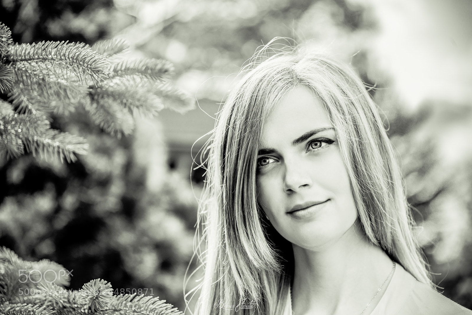 Nikon D800 sample photo. Dreamin' photography
