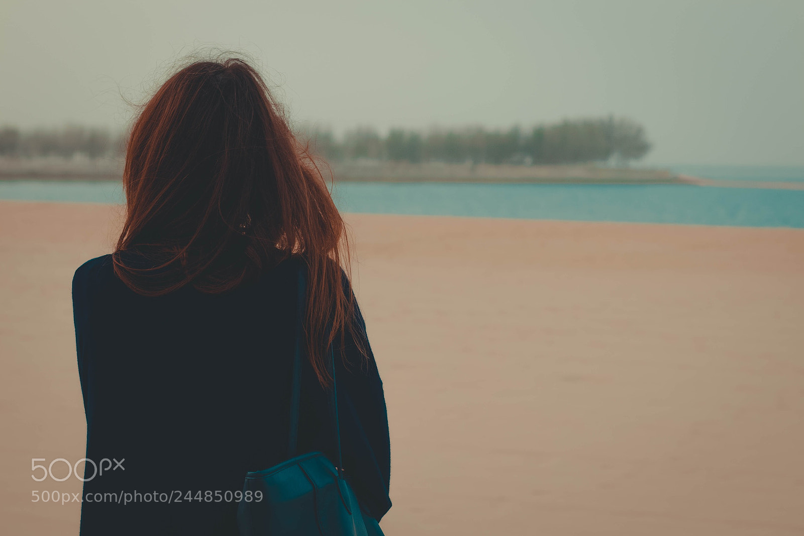 Canon EOS 77D (EOS 9000D / EOS 770D) sample photo. Untitled photography