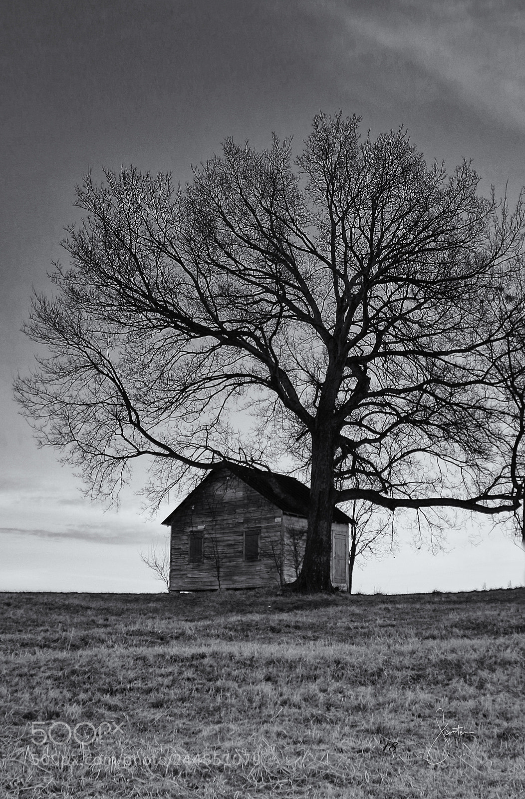 Canon EOS 7D Mark II sample photo. Farm morning photography