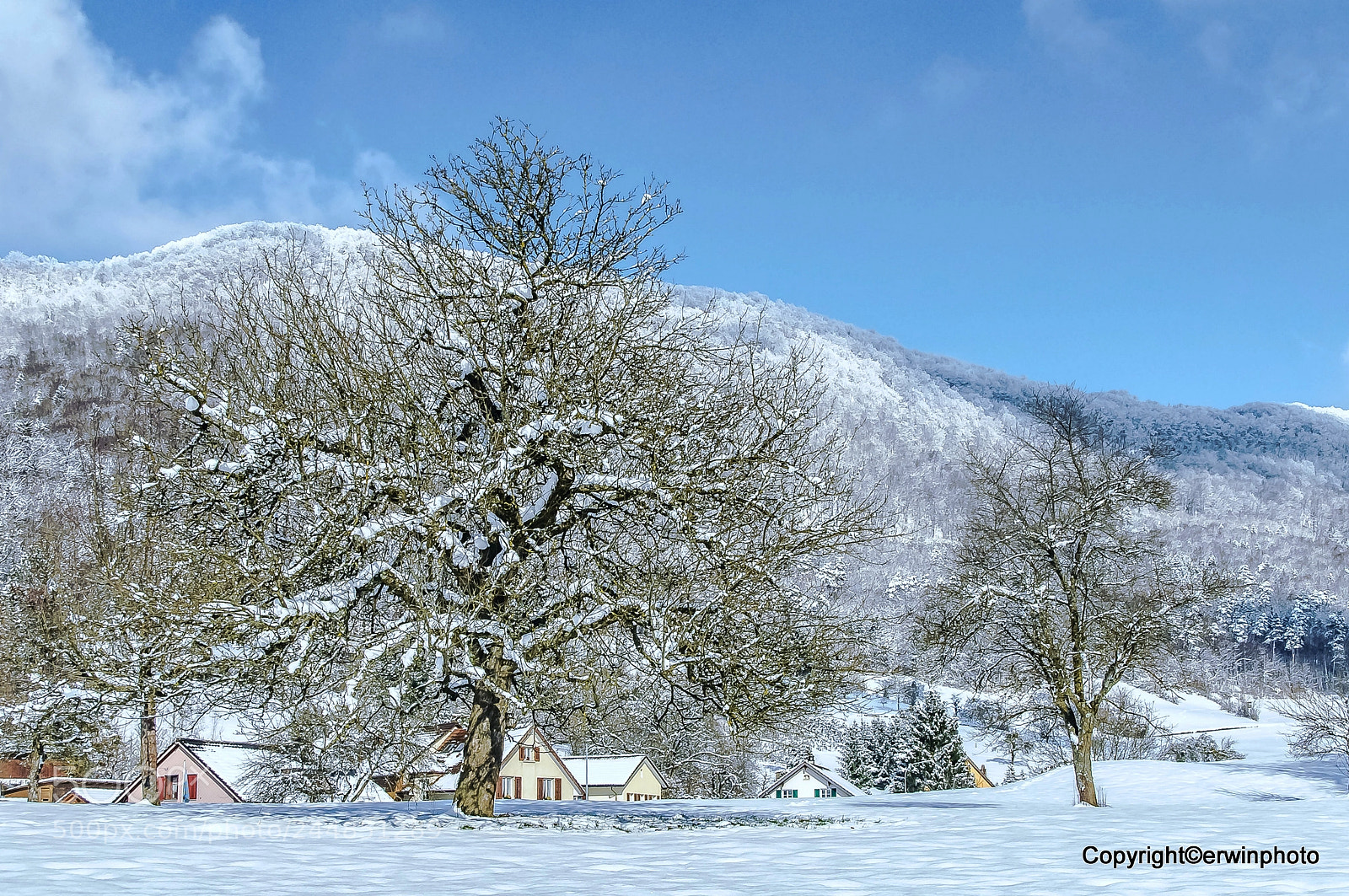 Nikon D300S sample photo. Das dorf... photography