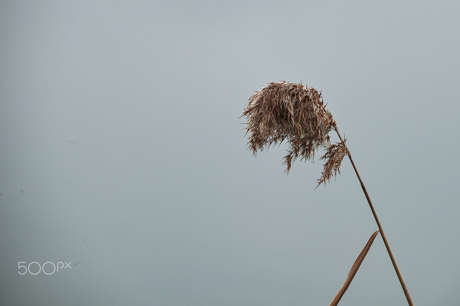 Sigma sd Quattro sample photo. Something is changing photography