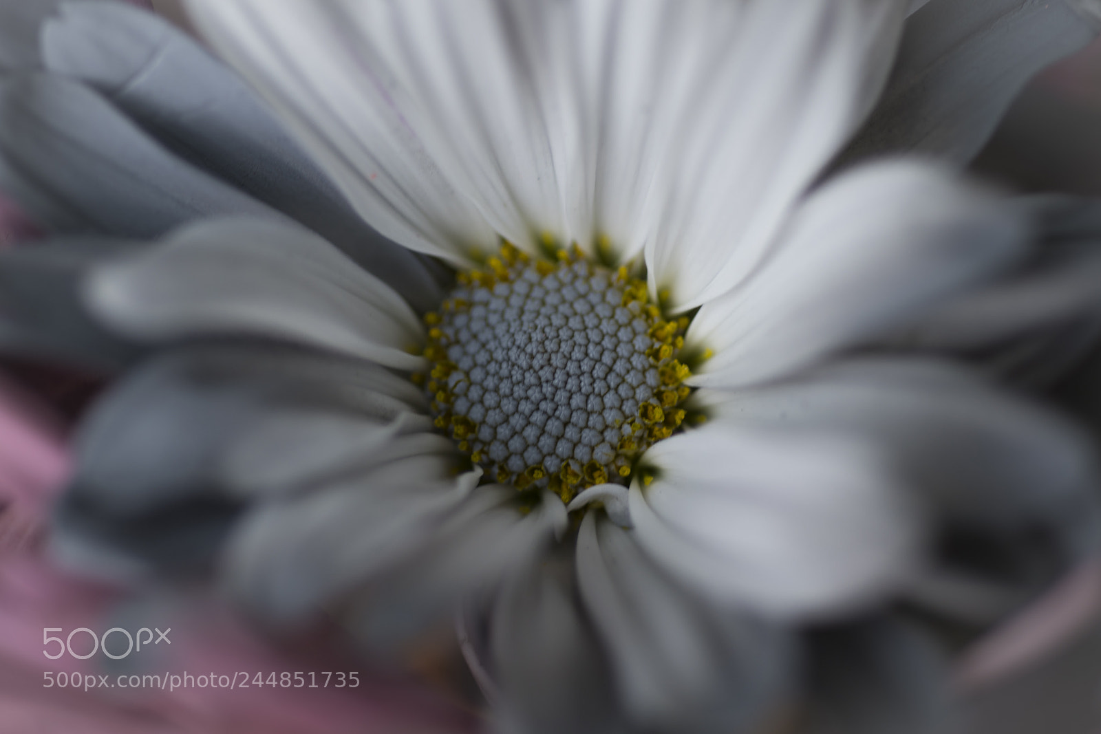 Nikon D850 sample photo. Inside photography