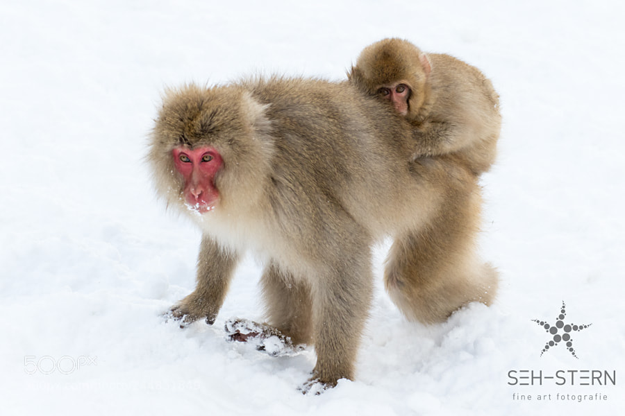 Canon EOS 7D Mark II sample photo. Mother and child photography