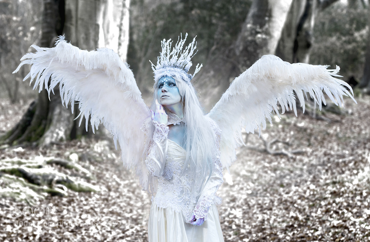 Sony ILCA-77M2 sample photo. The snow witch 2 photography