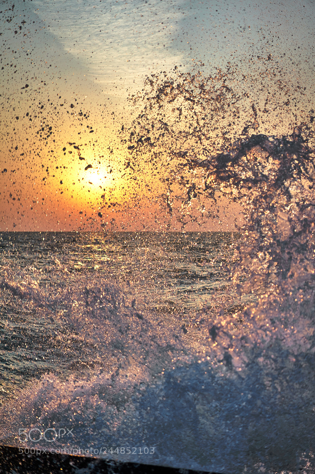 Sony a7 II sample photo. * sun eating water dragon * photography