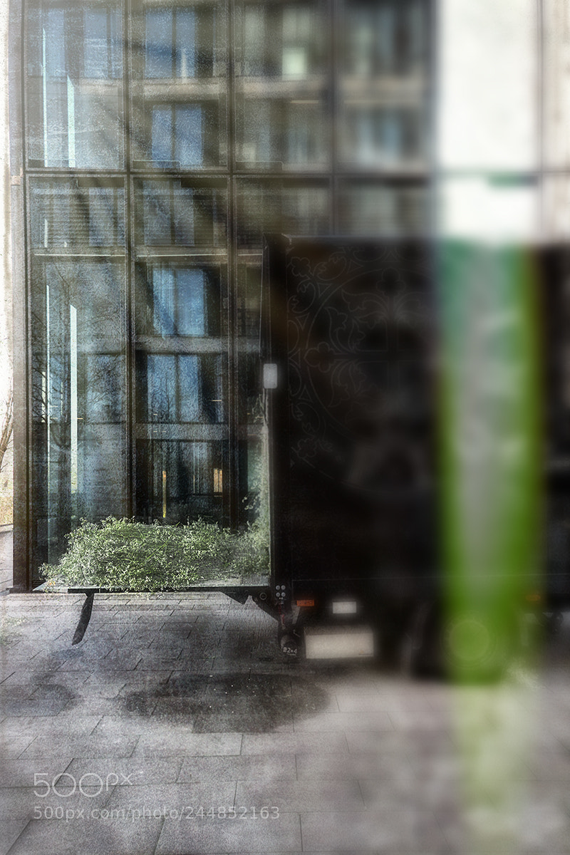 Panasonic Lumix DMC-LX100 sample photo. Green for the city ... photography