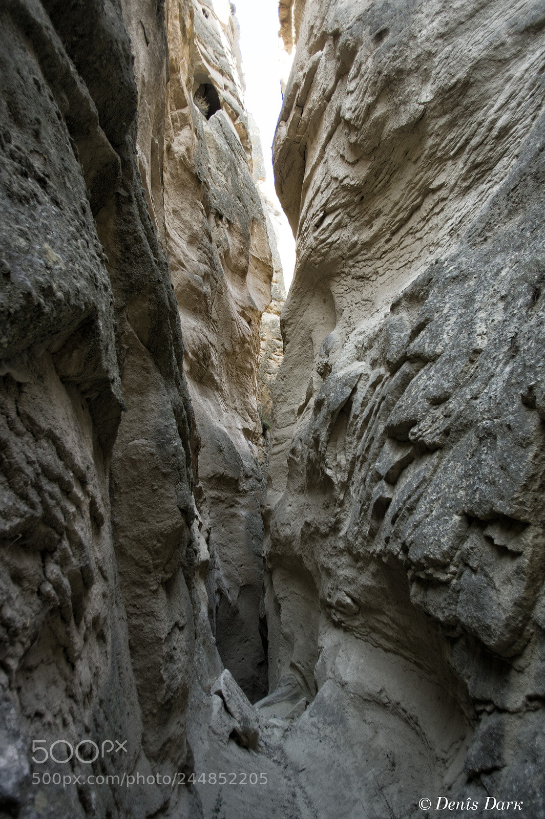 Pentax K-3 II sample photo. Following the paths of photography