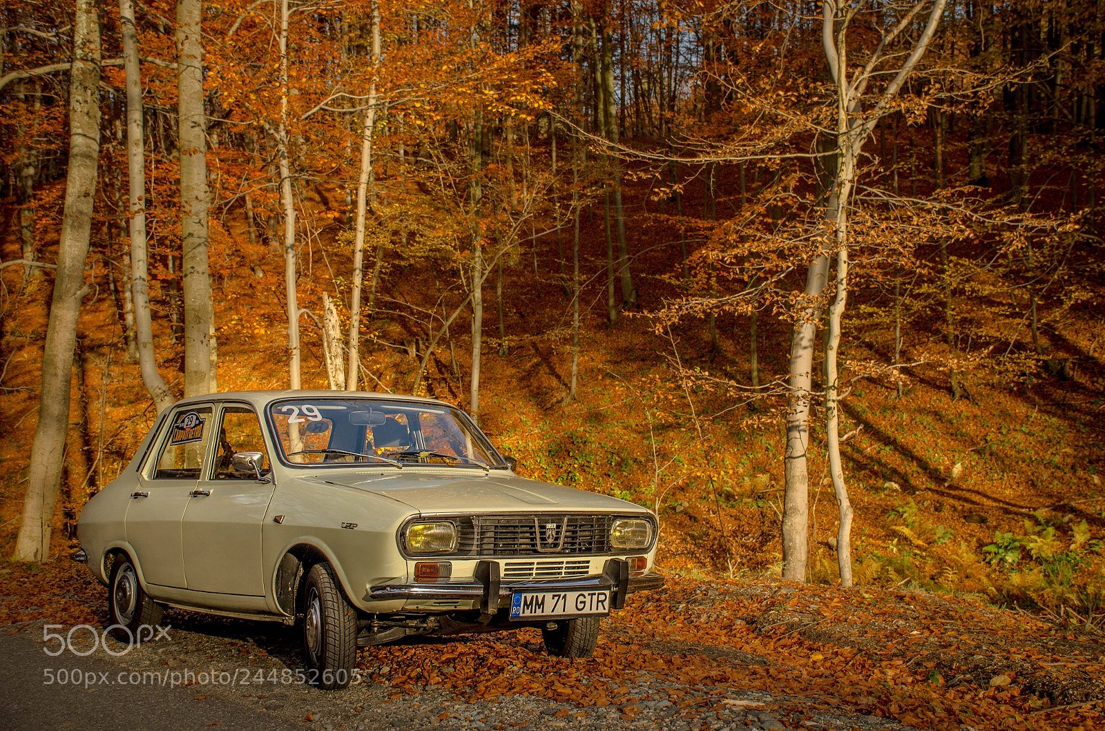 Nikon D5100 sample photo. Dacia 1300 / renault 12 forest resting. photography