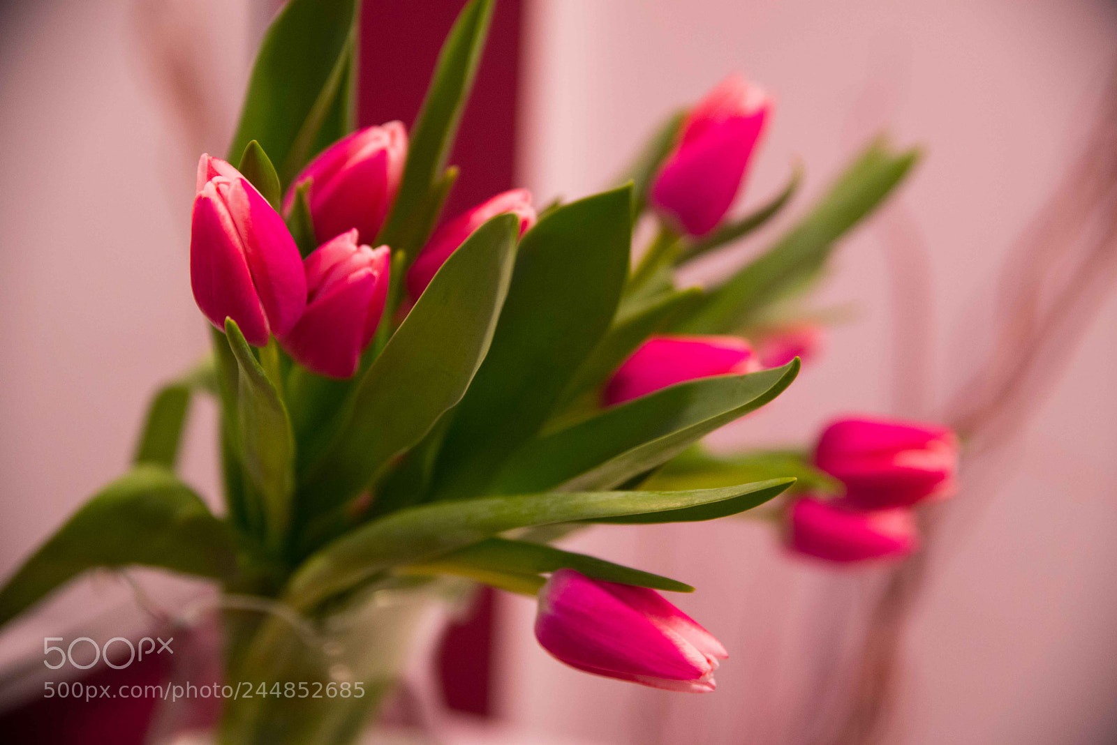 Nikon D610 sample photo. Untitled photography