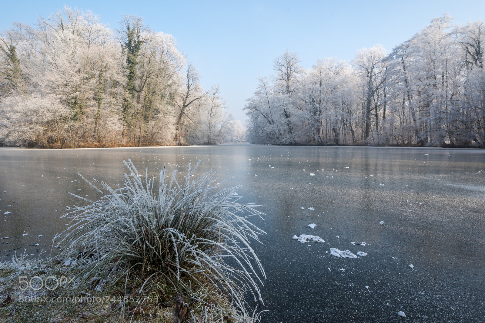 Nikon D7200 sample photo. Lake monrepos photography