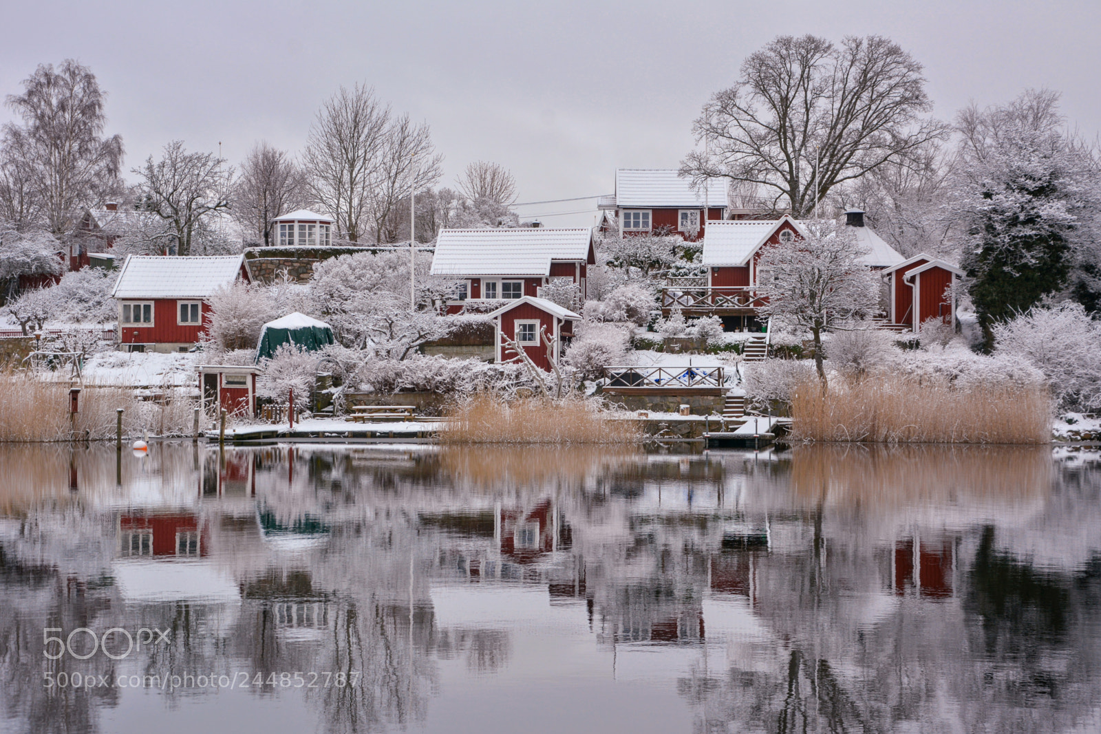 Nikon D7100 sample photo. Vintermagi photography