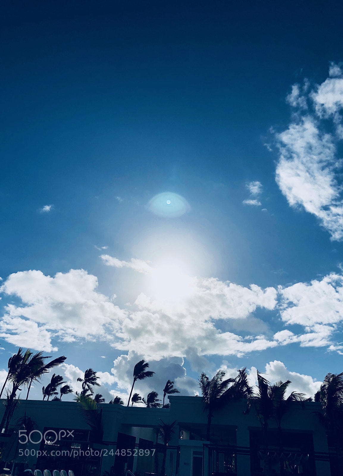 Apple iPhone X sample photo. Untitled photography