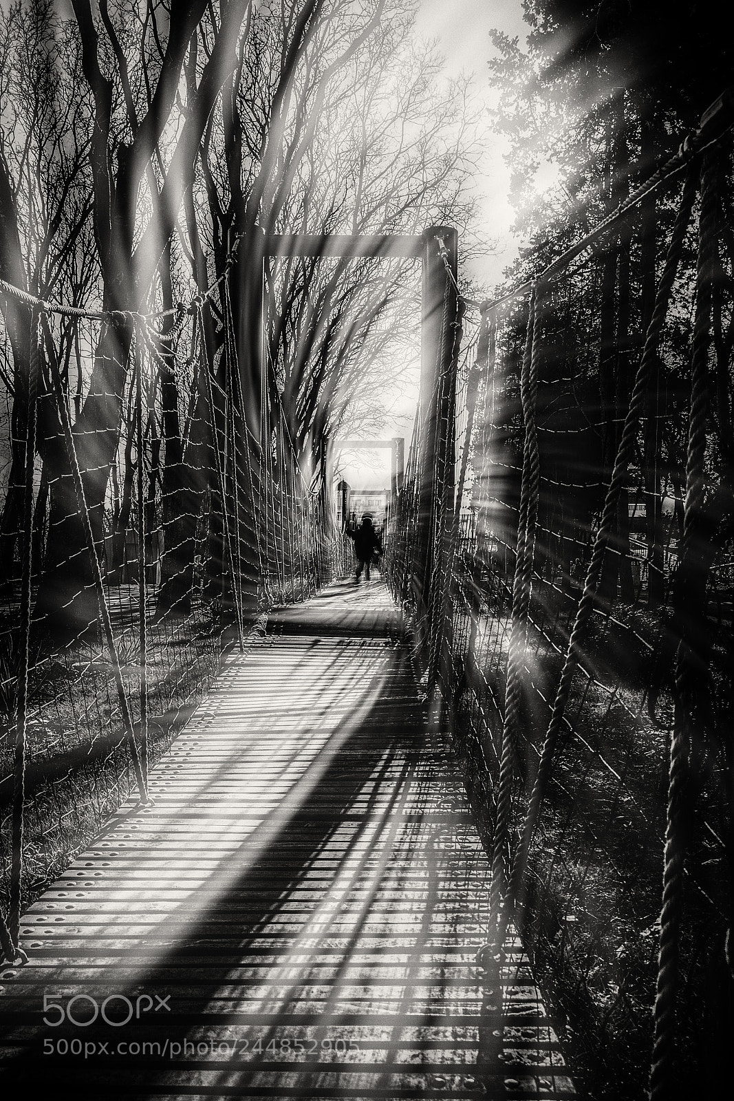 Canon EOS 650D (EOS Rebel T4i / EOS Kiss X6i) sample photo. The rope bridge. photography