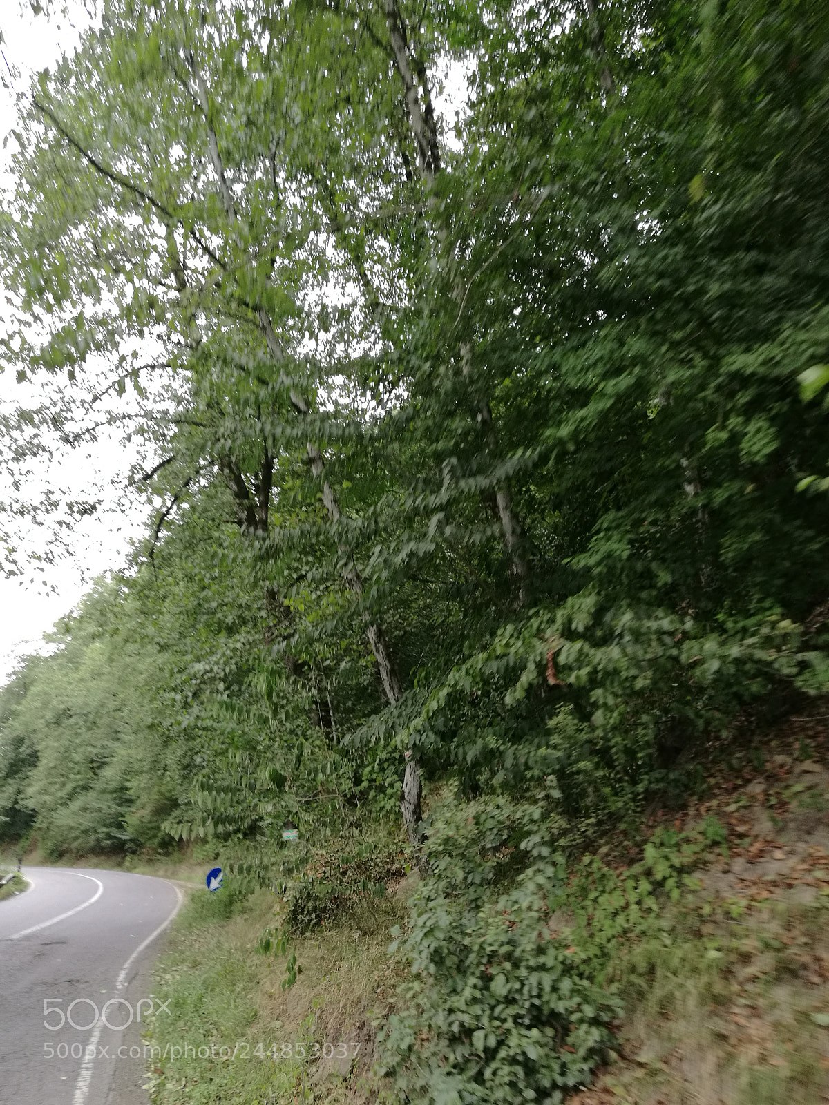 HUAWEI Mate 8 sample photo. Curvy road photography