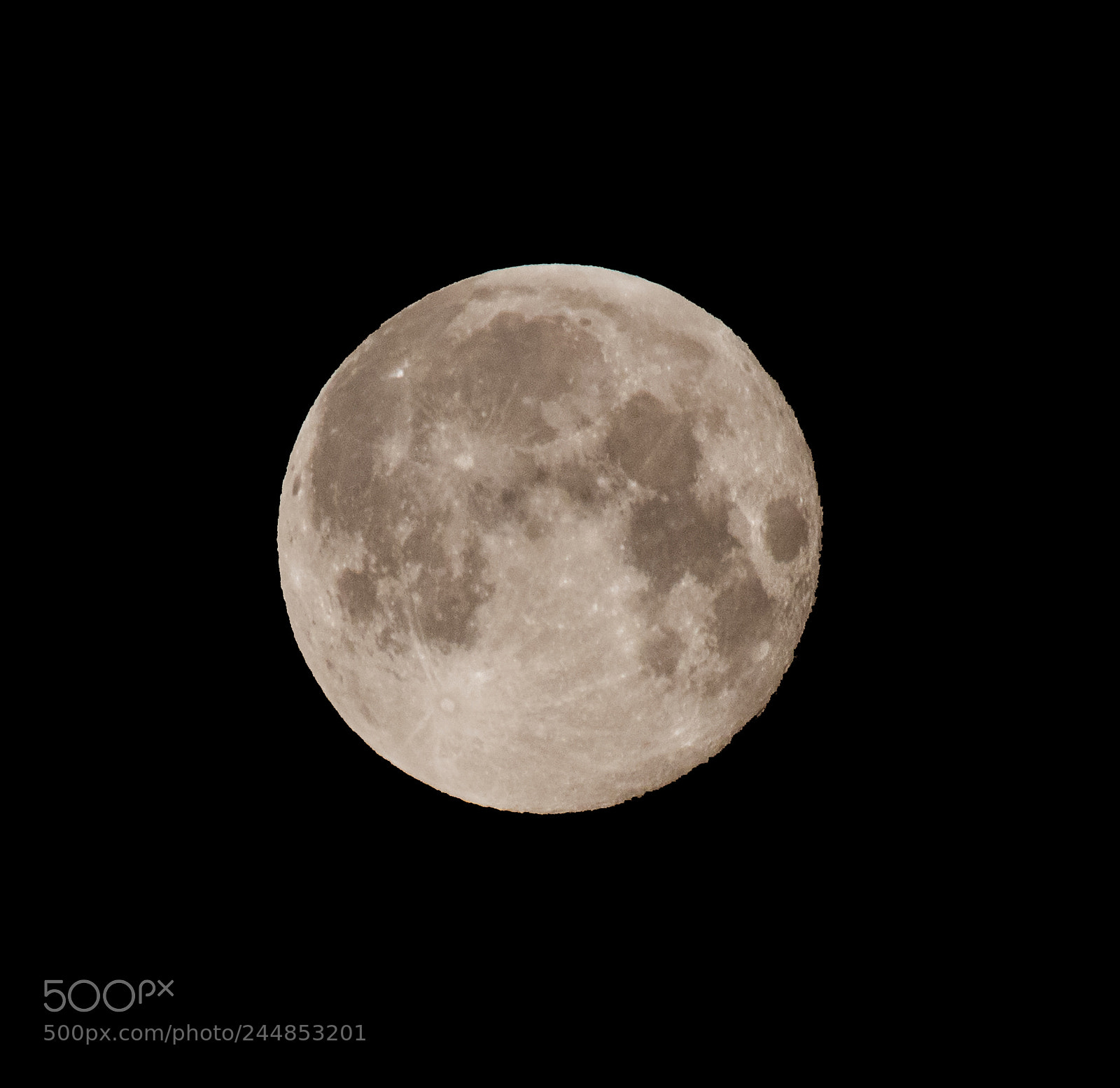 Nikon D810 sample photo. Blood moon photography