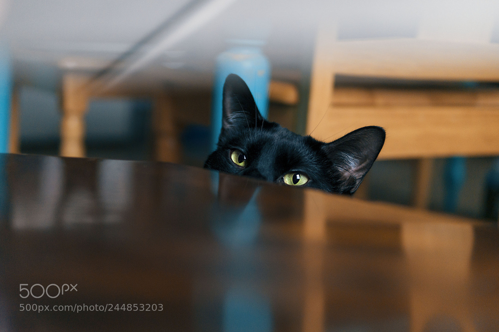 Sony SLT-A58 sample photo. Shado photography