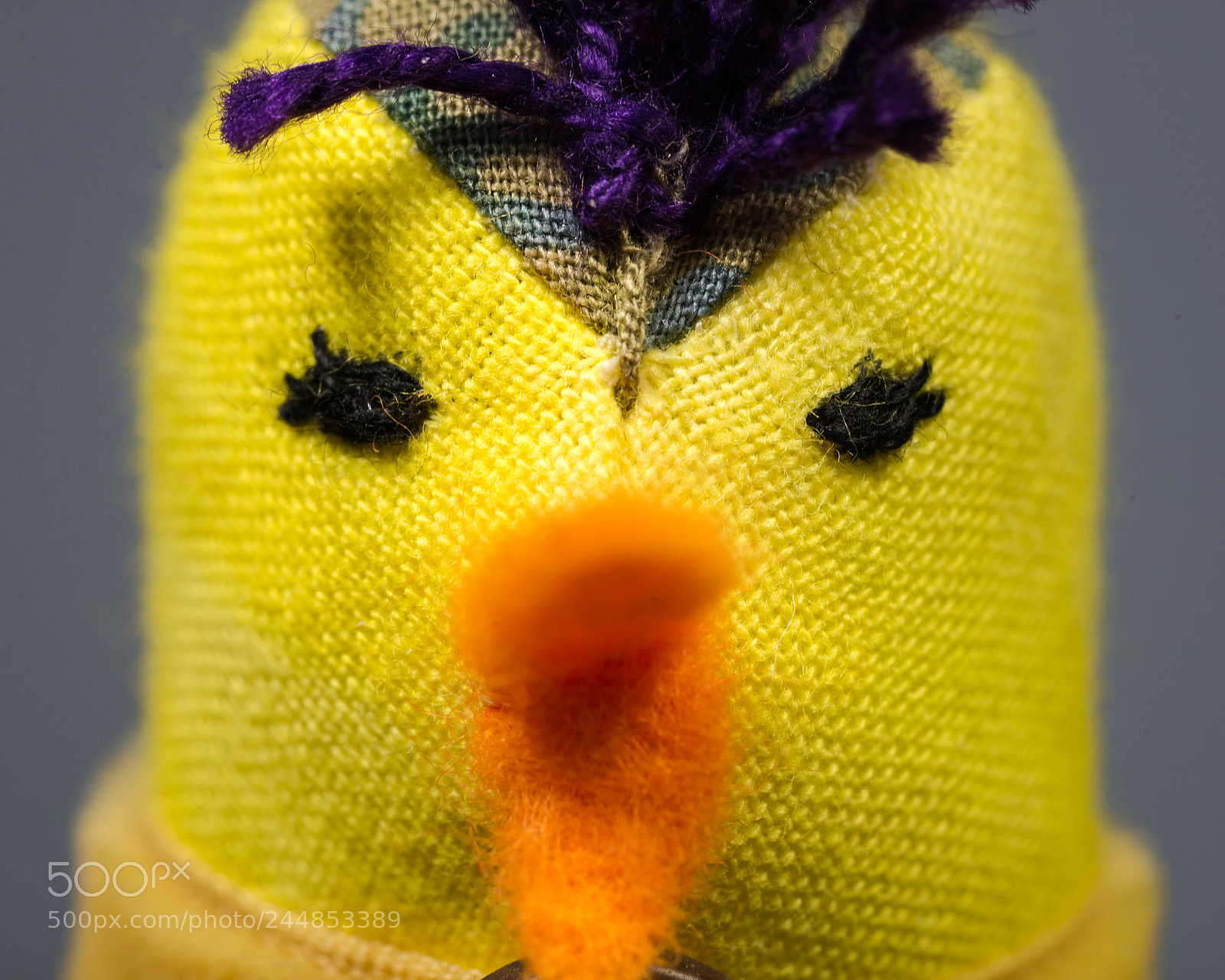 Nikon D610 sample photo. Eyes front photography