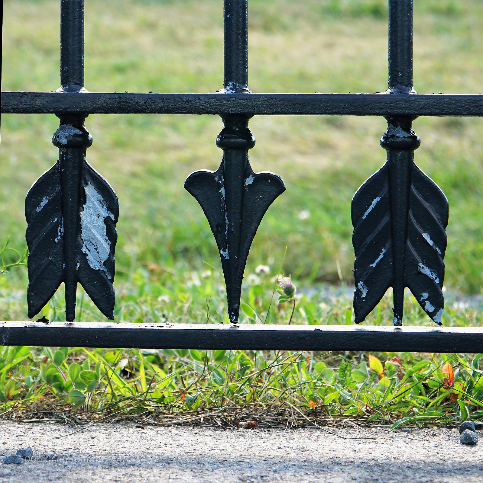 Sony a6500 sample photo. Fence photography