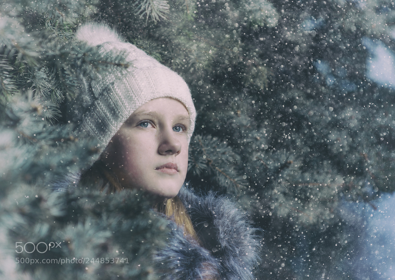 Nikon D800 sample photo. Girl in winter time photography