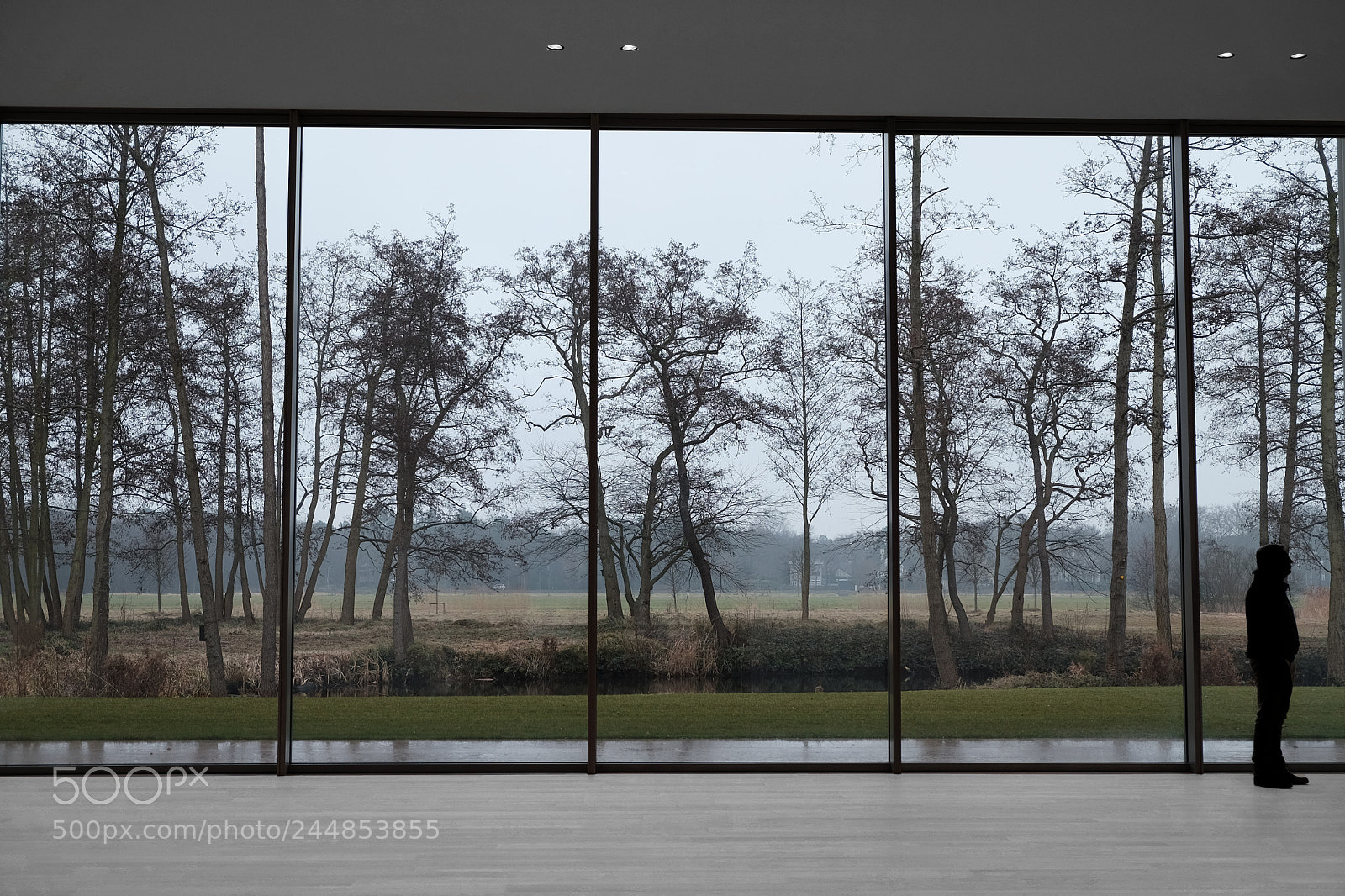 Fujifilm X-T1 sample photo. Window man photography