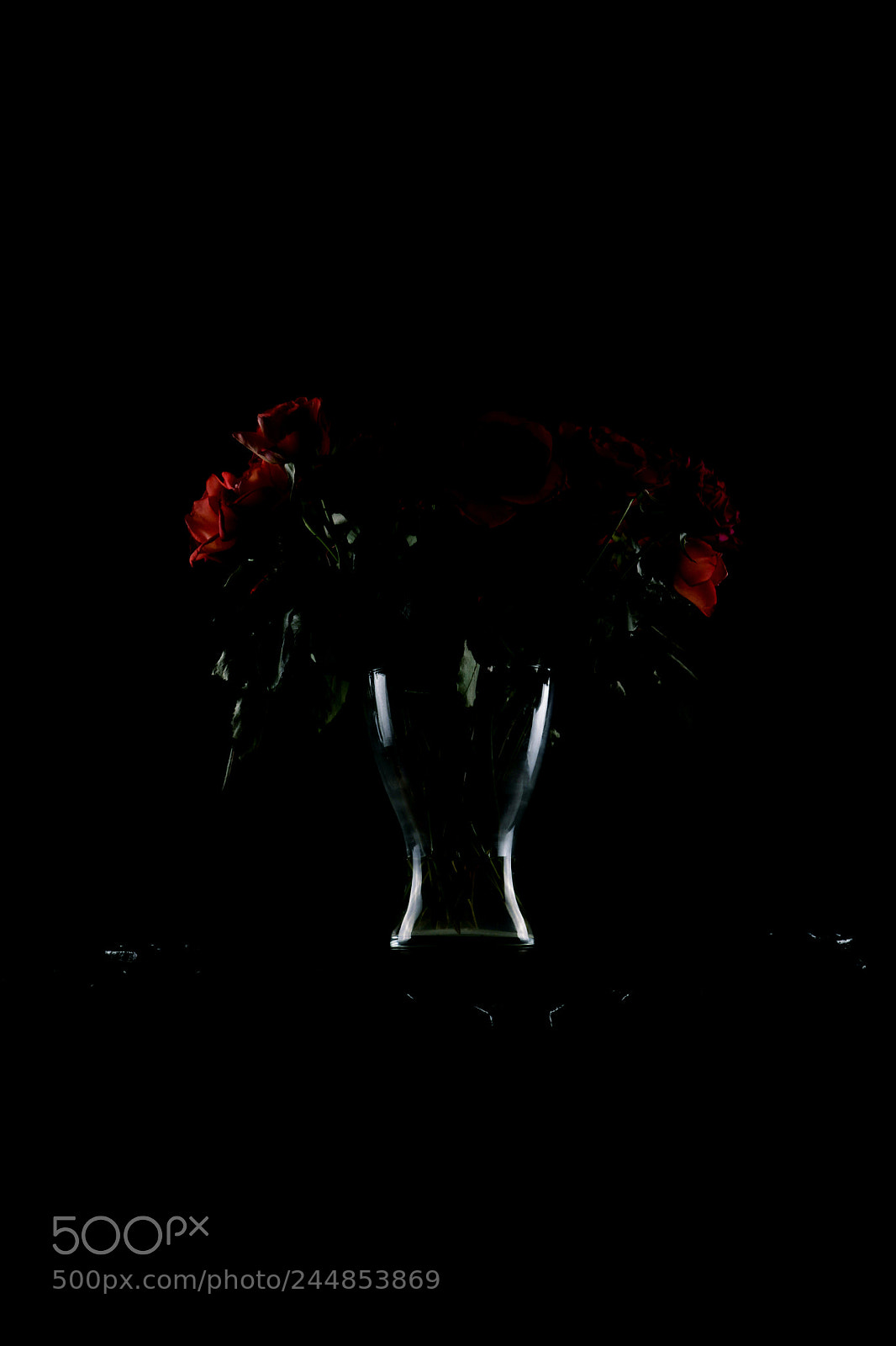 Canon EOS 750D (EOS Rebel T6i / EOS Kiss X8i) sample photo. Roses photography
